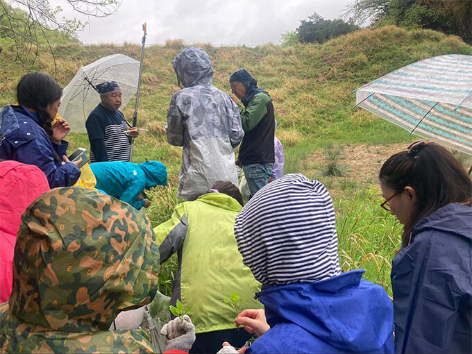 野草採取イベント