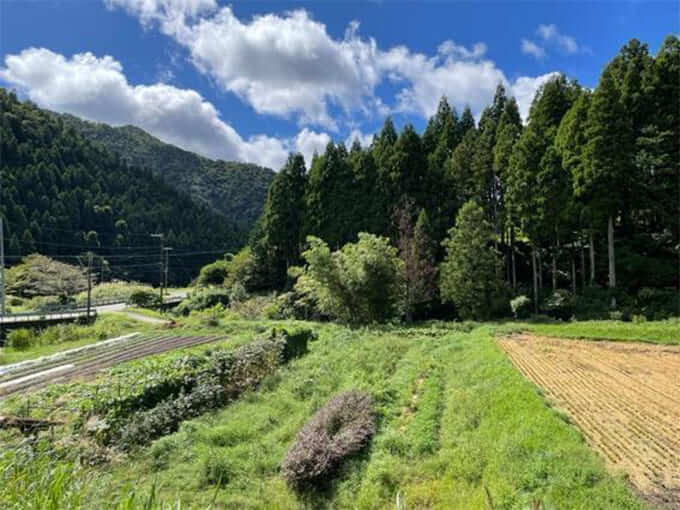 田歌舎の畑